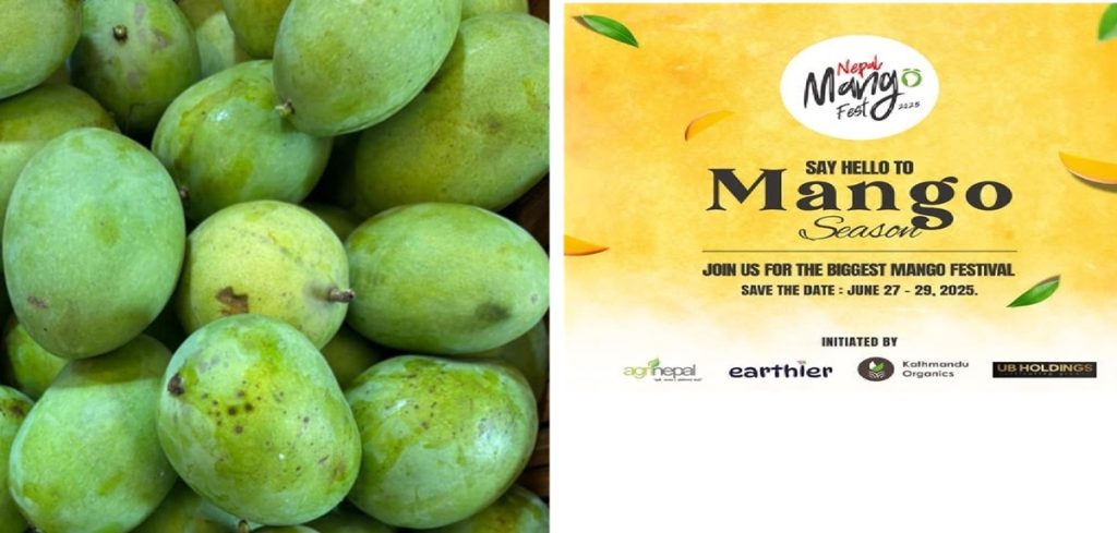 mango fest 1750924772