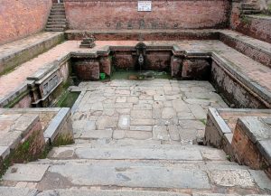 inbound5842516036514944167